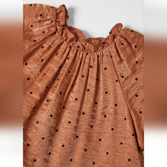 Zara Flocked Polka Dot Dress - Picture 3 of 3